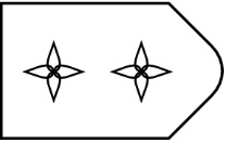Which of the figures below best fits in the missing field?